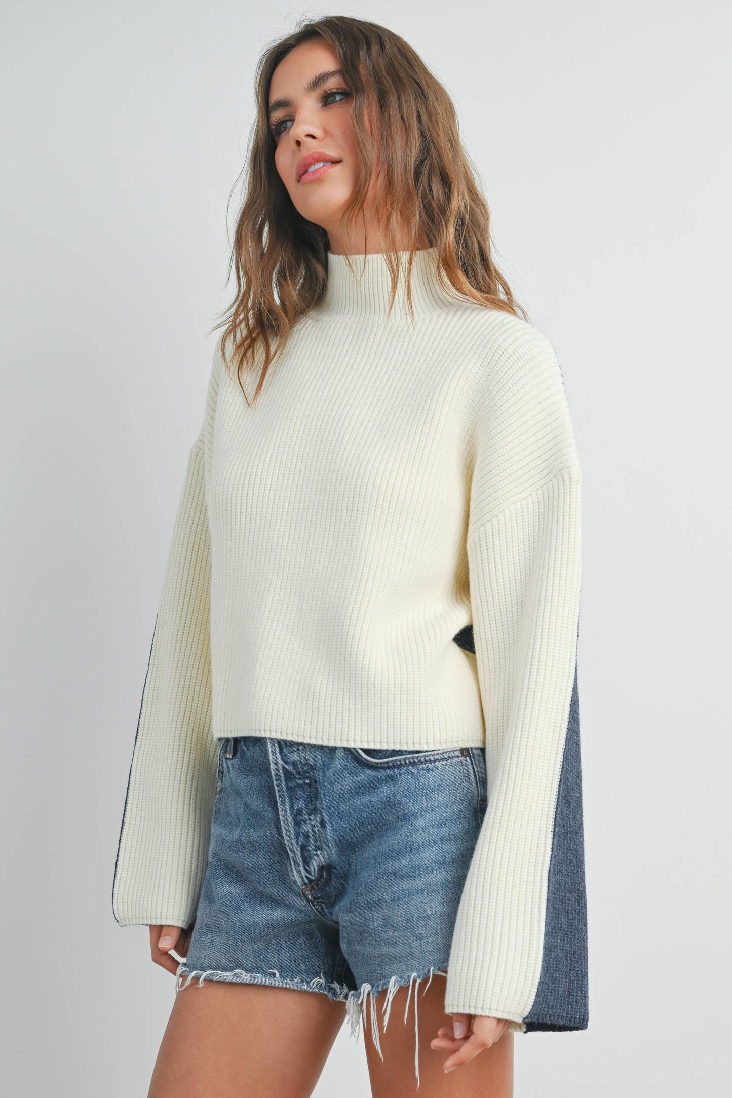 TWO-TONED TURTLENECK SWEATER